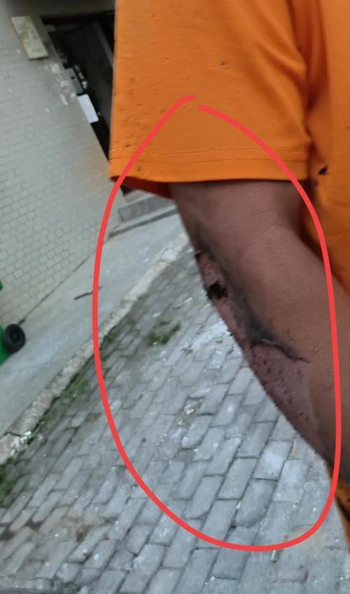 下载中心 第31页