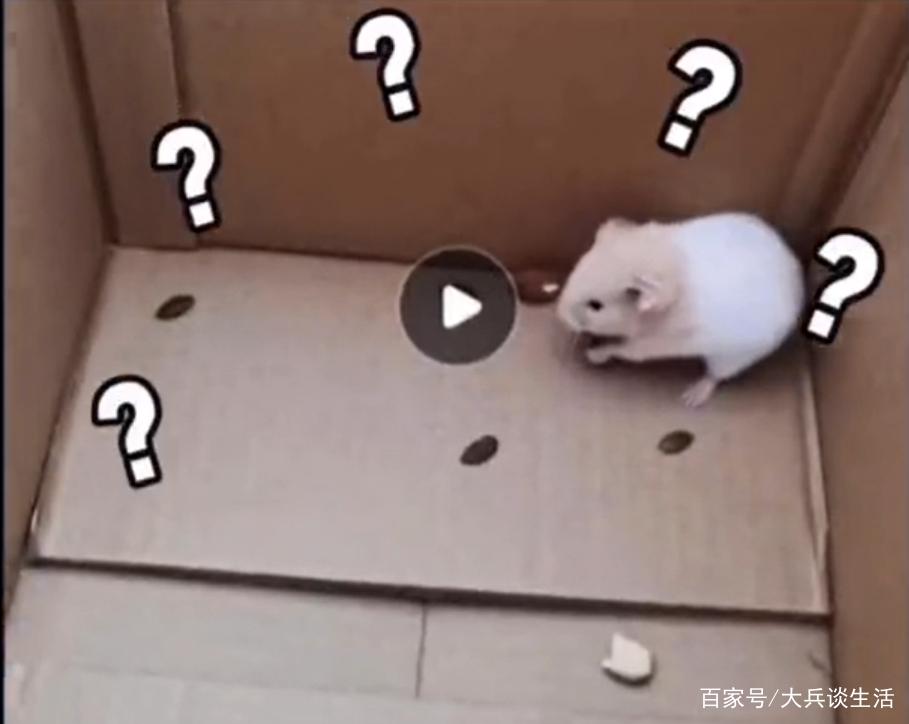 产品中心 第33页