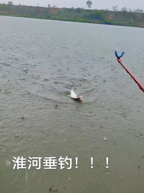 下载中心 第13页