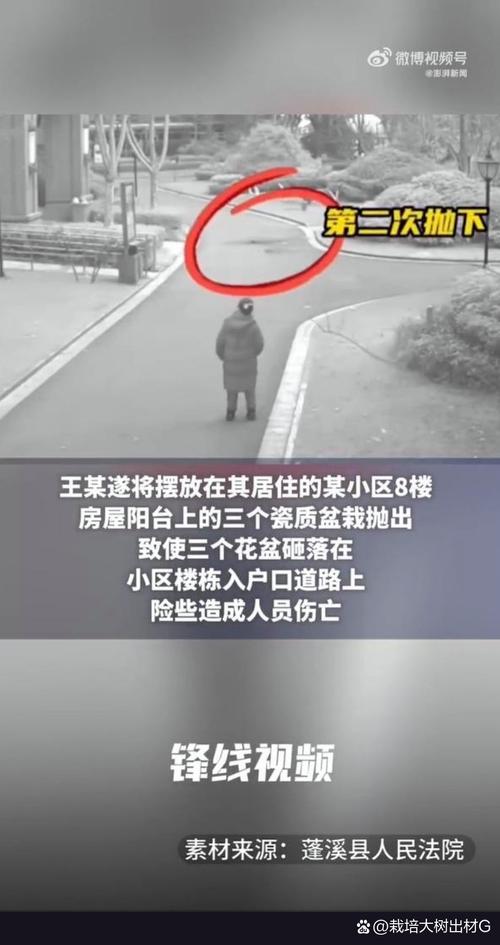 解决方案 第8页