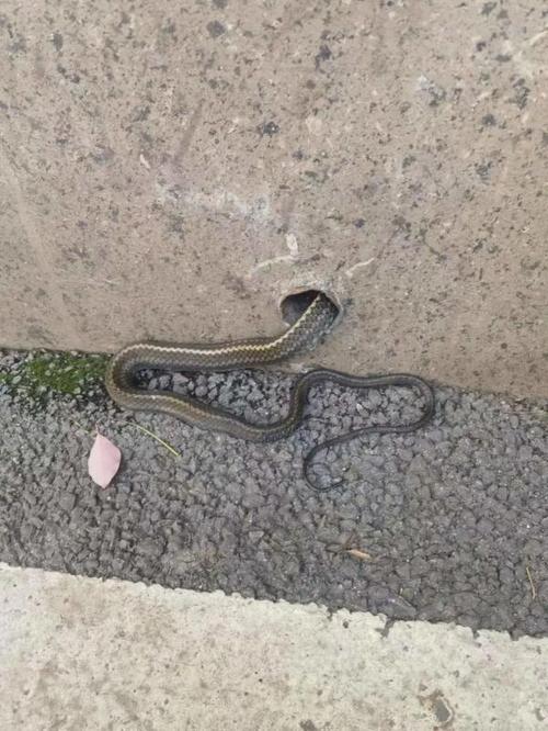 解决方案 第5页